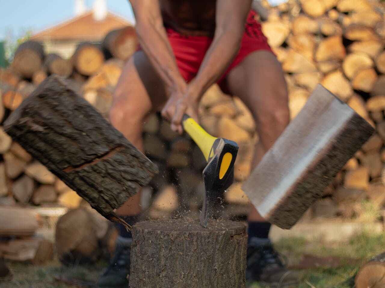 Tree Branch Trimming in Security Widefield, CO